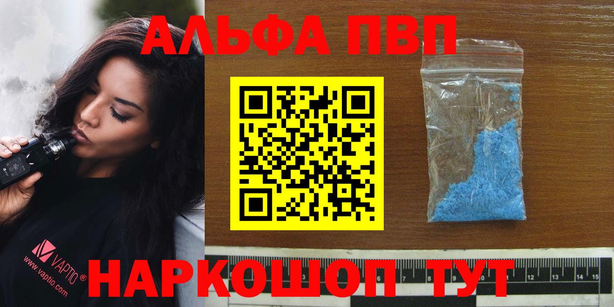 Alfa_PVP СК КРИС Майкоп