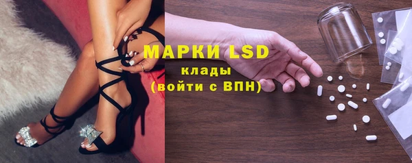 трава Новозыбков