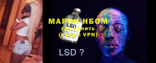 трава Новозыбков