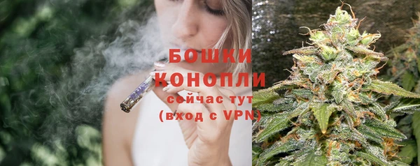 трава Новозыбков