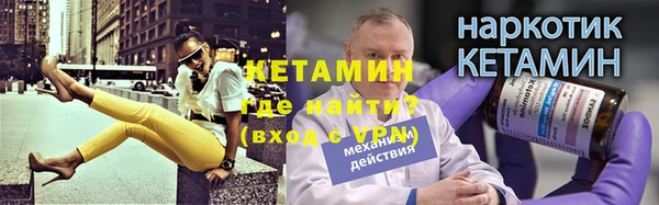 трава Новозыбков