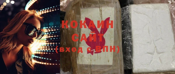 трава Новозыбков