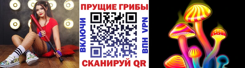 Псилоцибиновые грибы мицелий  купить  сайты  Майкоп 