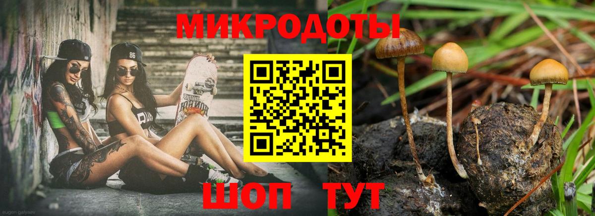 Псилоцибиновые грибы прущие грибы  Вход с VPN  Псилоцибиновые грибы мухоморы  Майкоп 