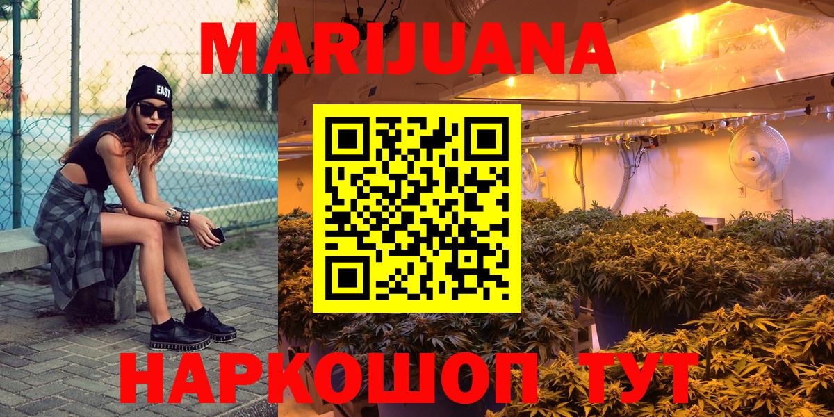 Конопля сатива  Вход с VPN  Шишки марихуана план  Майкоп 