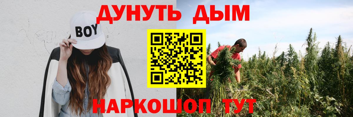 Канабис индика Майкоп